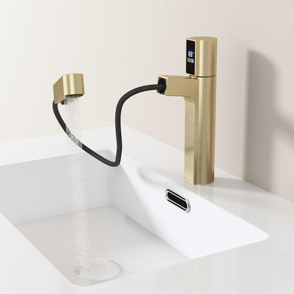 Bathroom Faucet with Pull Out Sprayer and LED Temperature Display