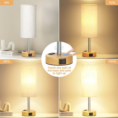 Dimmable Touch Lamp with USB Charging Ports